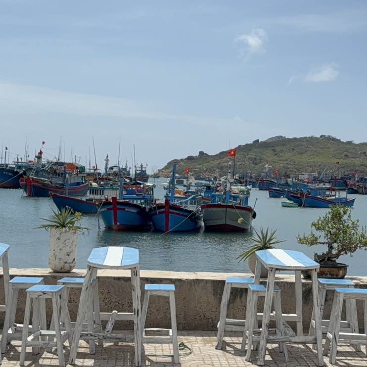 Dzungvu🇻🇳 post 2