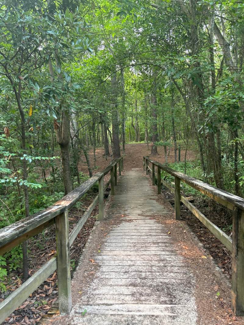 walking near me in Creekside Park in winter
