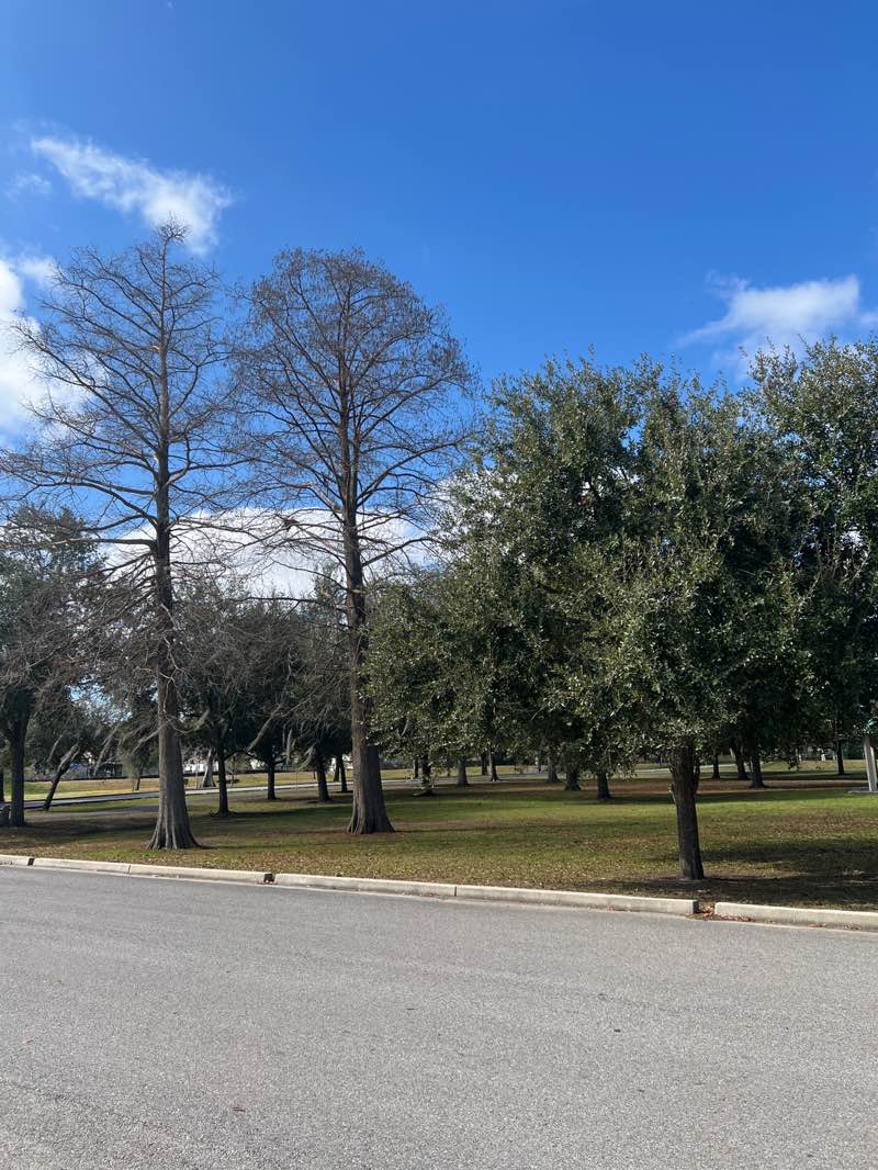 walking near me in Pontiff Playground in winter