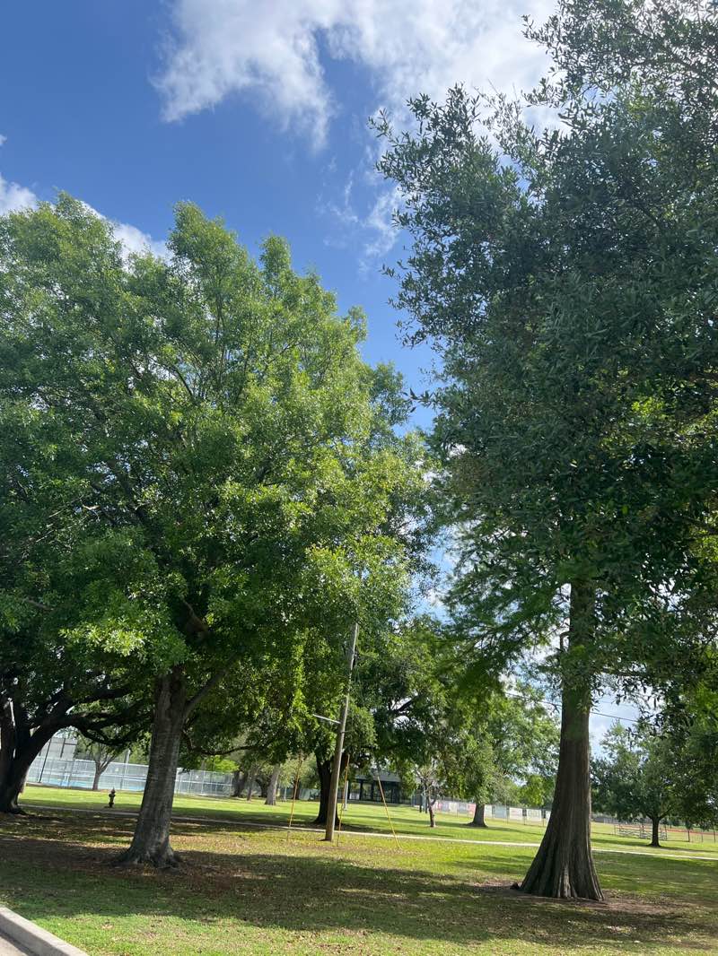 walking near me in Pontiff Playground in spring