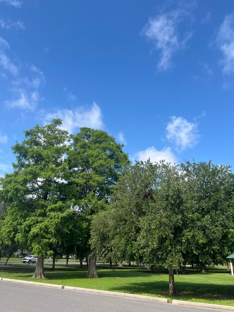 walking near me in Pontiff Playground in summer