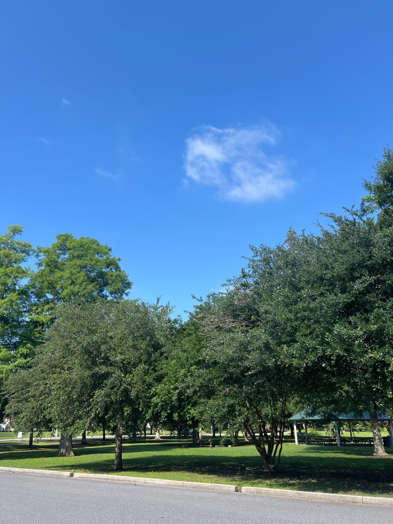 walking near me in Pontiff Playground in spring