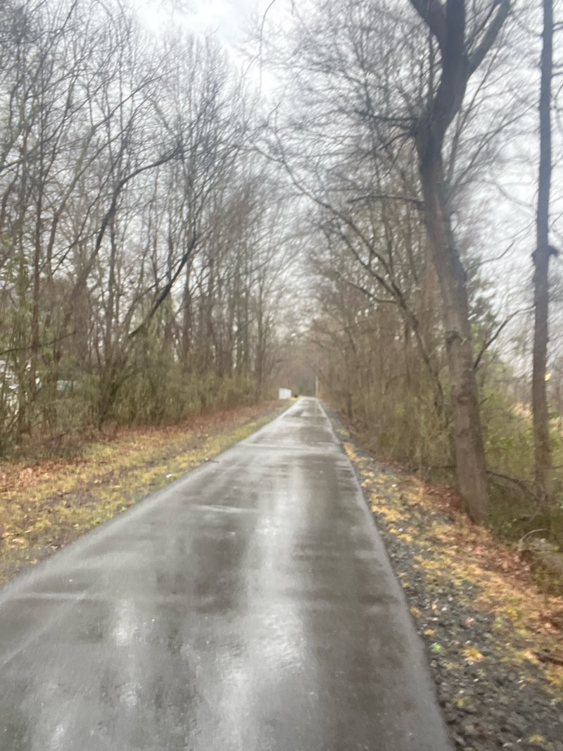 walking near me in York Recreation Complex in spring