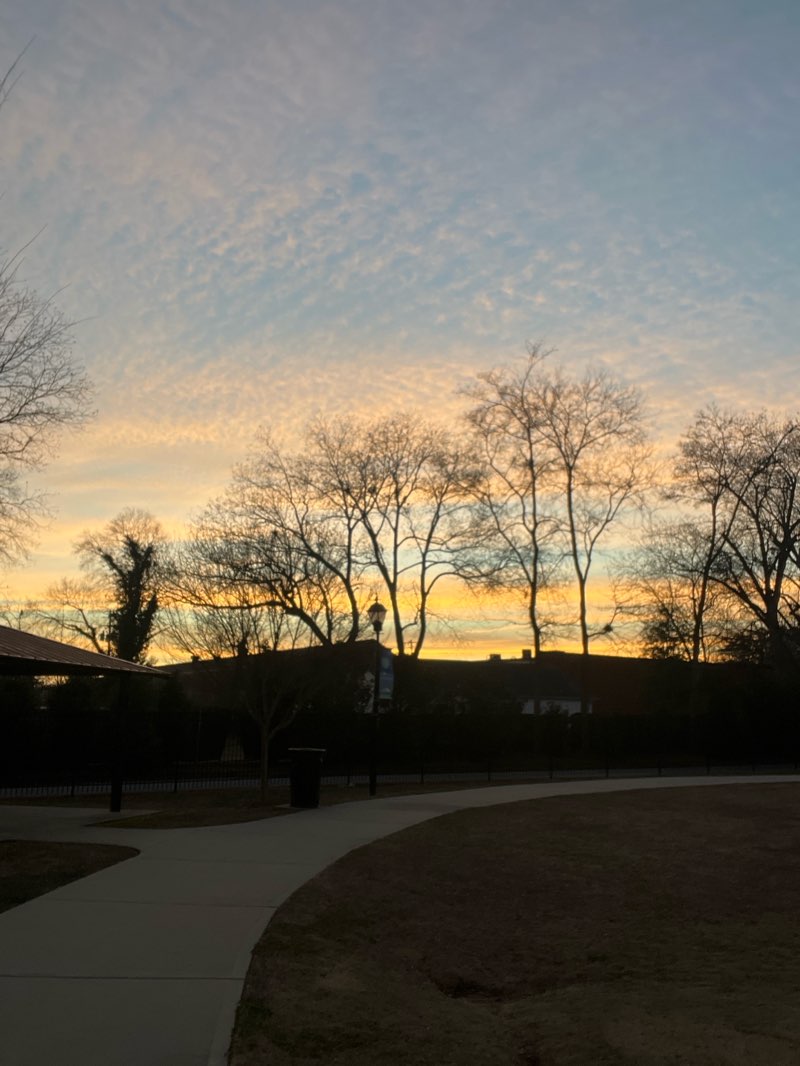 walking near me in City Park in winter