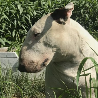 Анжелика Попова profile