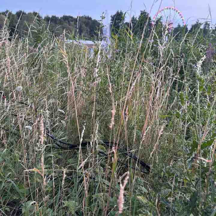 Srinivas Arasada post 2