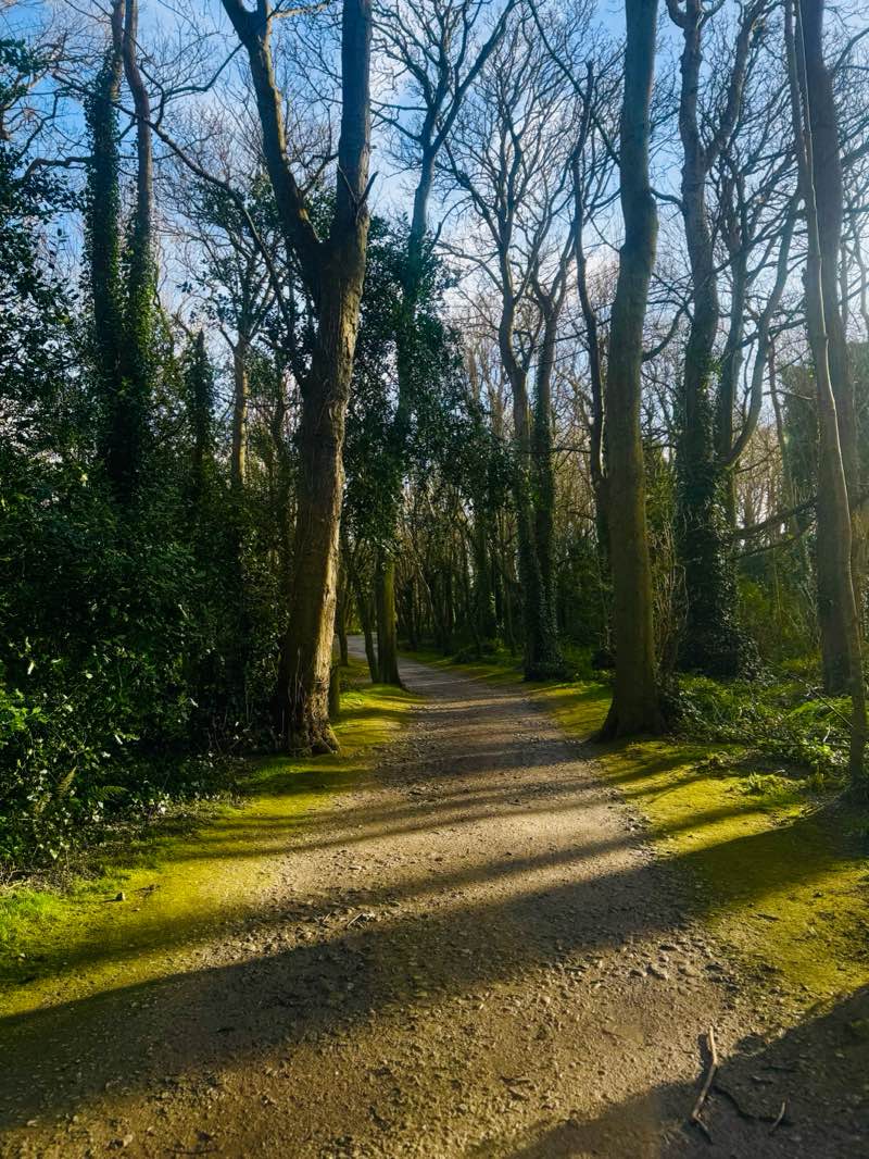 walking near me in Ardgillan Castle and Demesne in winter