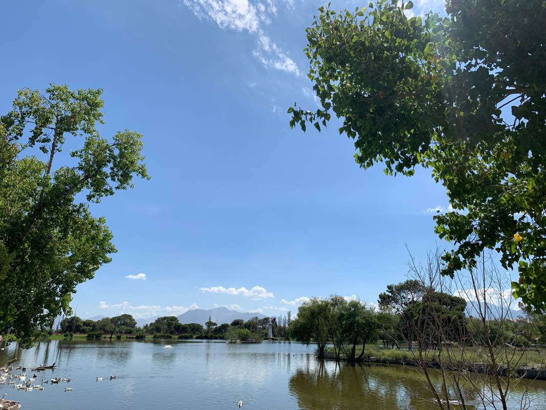 walking near me in Ciudad Deportiva in winter