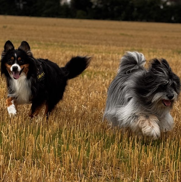 Sandra Storfinger profile