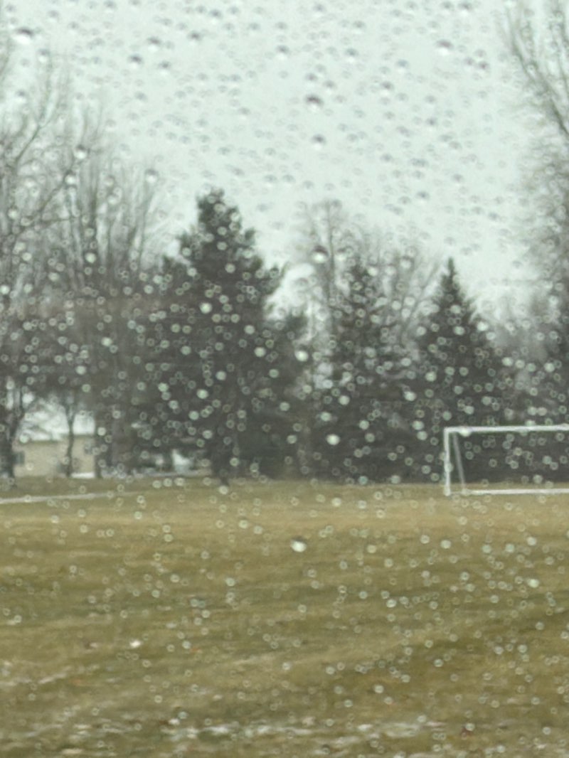 walking near me in Highview Park in autumn