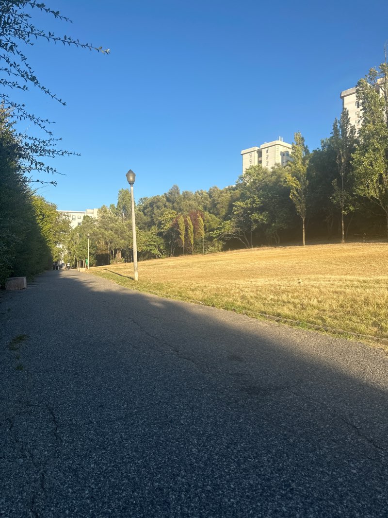 walking near me in Parque do Vale do Silêncio in winter
