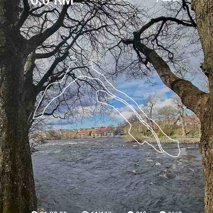 Adrienne Rose post 1