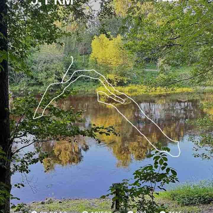 Adrienne Rose post 1