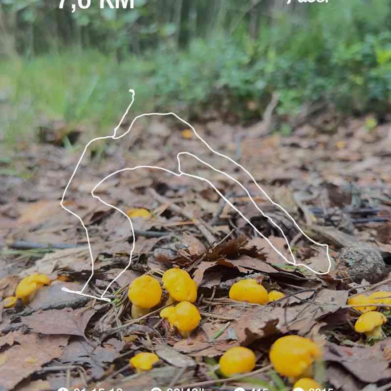 Adrienne Rose post 1