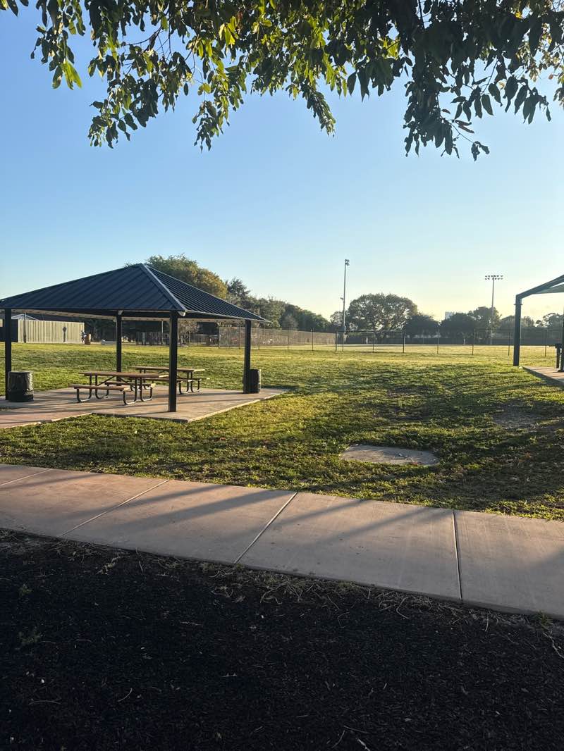 walking near me in Douglas Park in winter