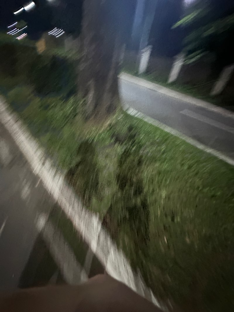 walking near me in Plaza Libertad in spring