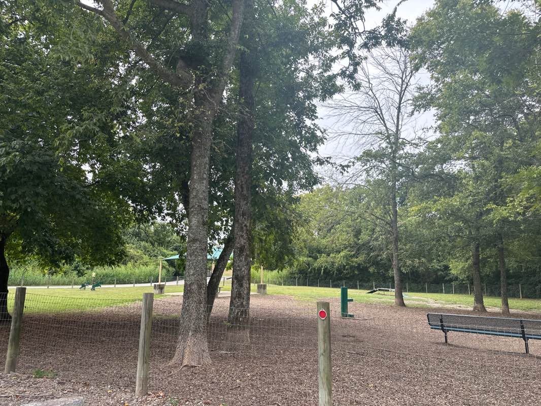 walking near me in Liberty Park in autumn