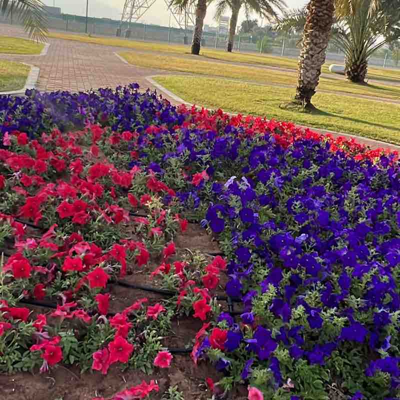 Rubitah Bt Abdul Rahman post 1