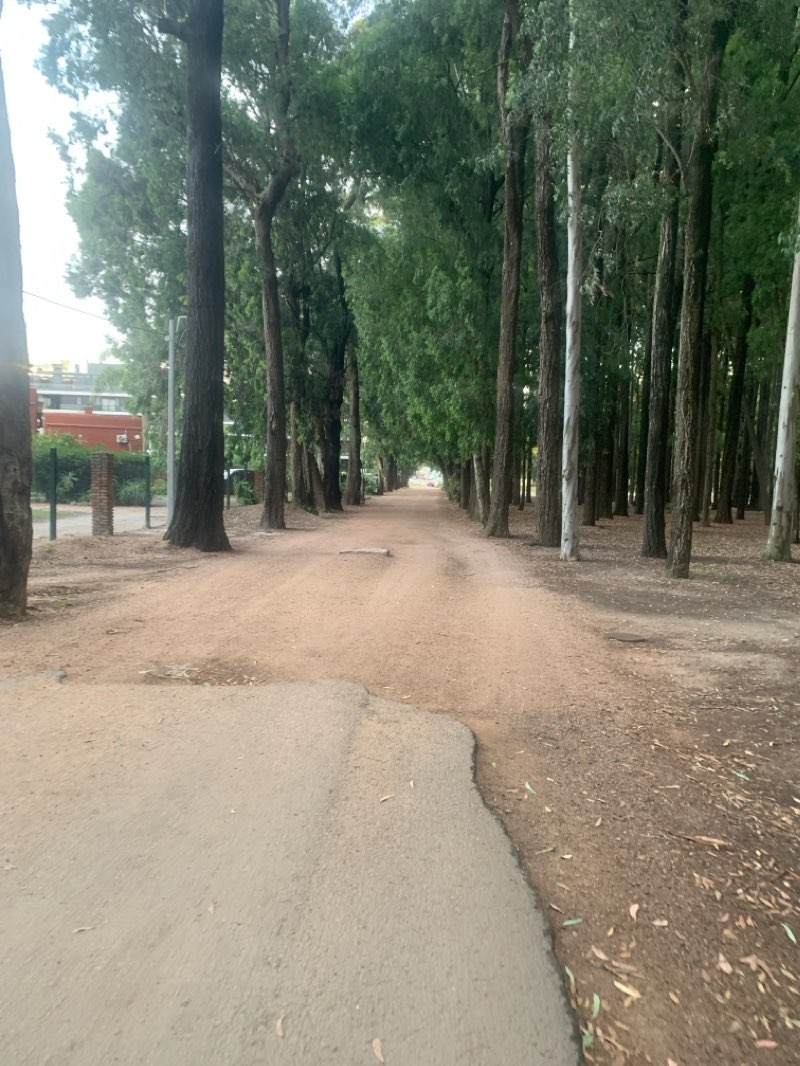 walking near me in Parque Rivera in summer