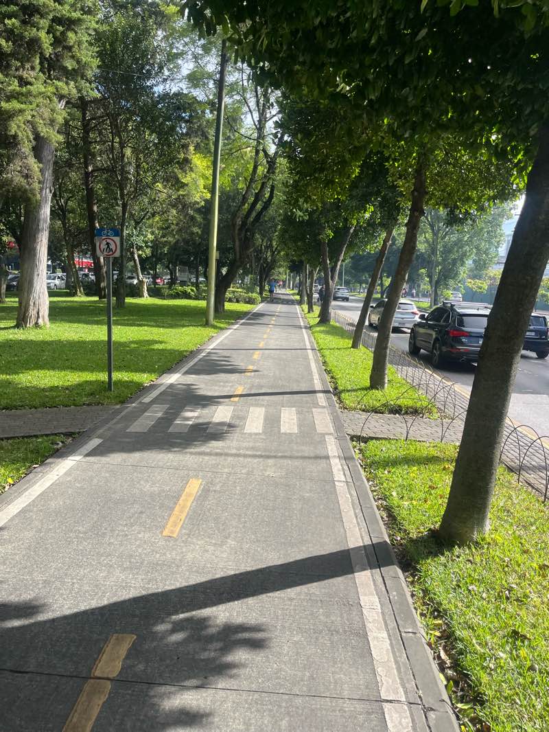 walking near me in Jardín Botánico in autumn