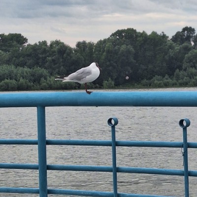 🤗AUTUMN WALKS🤗 Мария Моденова post image