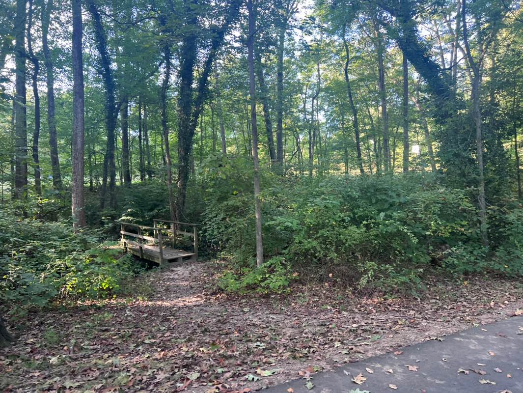 walking near me in Cardinal Forest Park in autumn