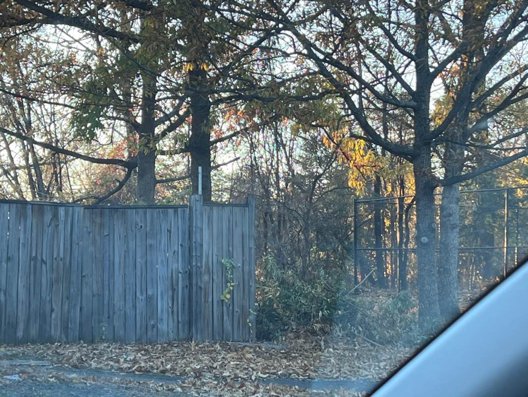 walking near me in Navy Vale Park in autumn