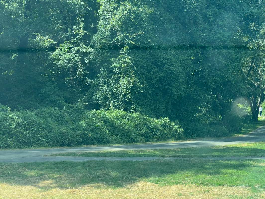 walking near me in Canterbury Woods Park in autumn