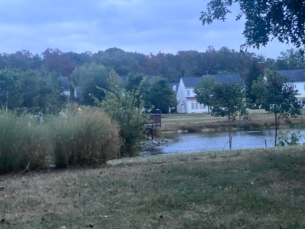 walking near me in Kirkpatrick Farms Pond Park in autumn