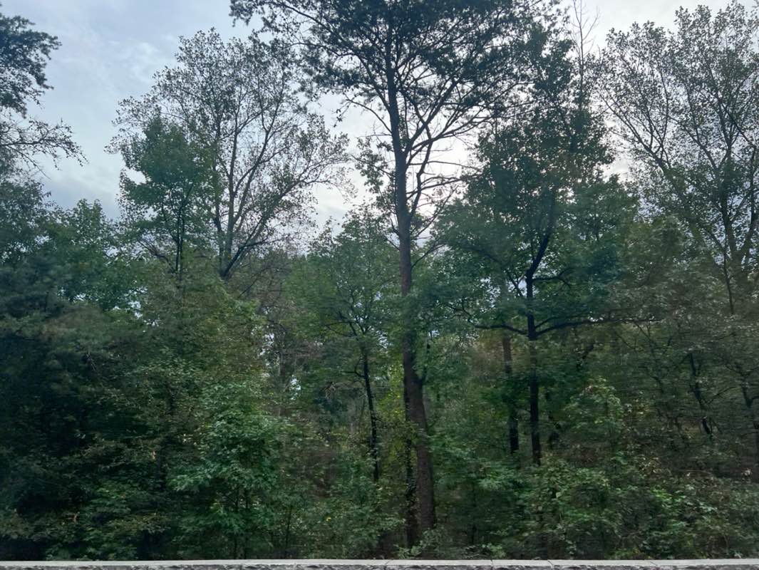 walking near me in Baltimore-Washington Parkway in autumn