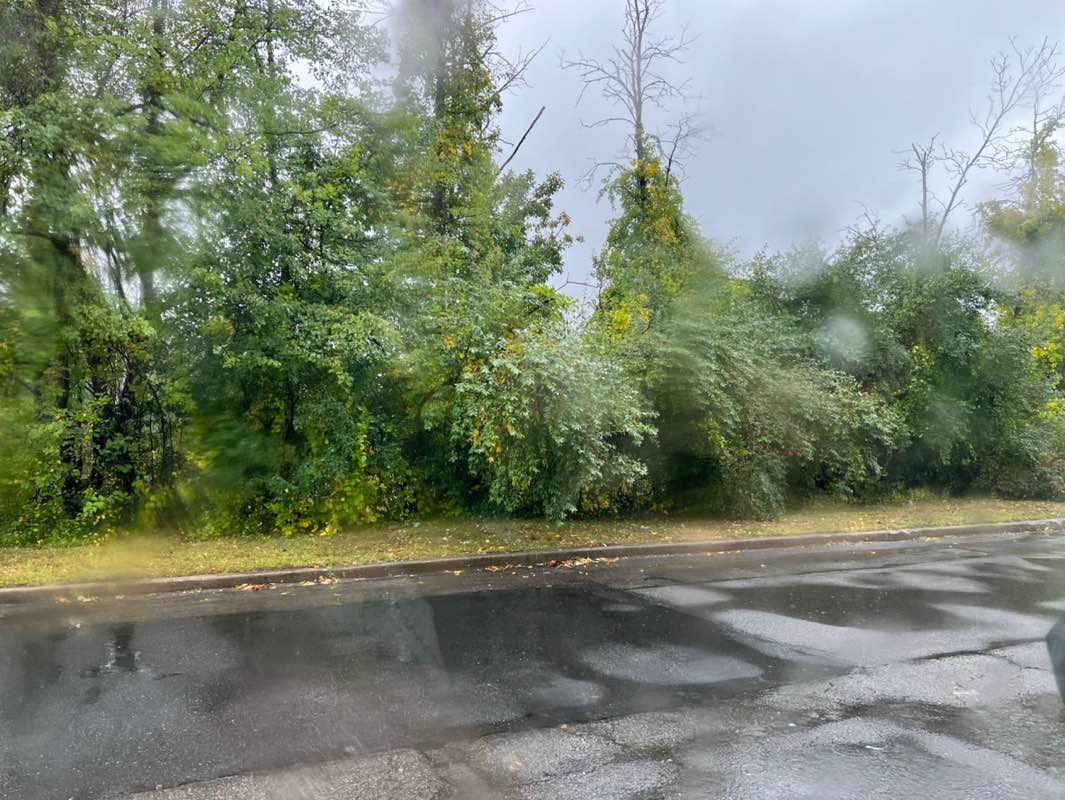 walking near me in Bulfinch Reservation in autumn