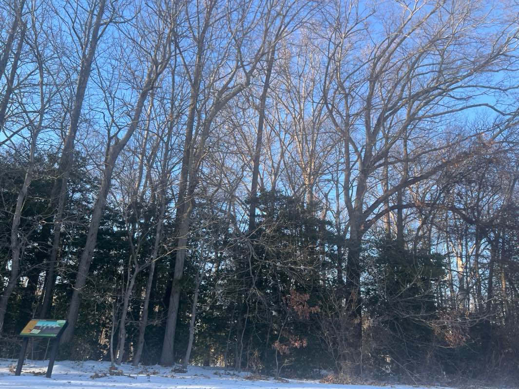 walking near me in Southrun in winter