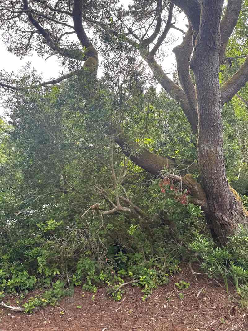 walking near me in Ocean City State Park in autumn