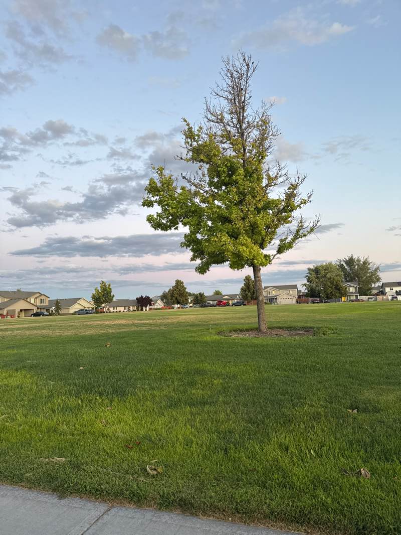 walking near me in Island Park in summer