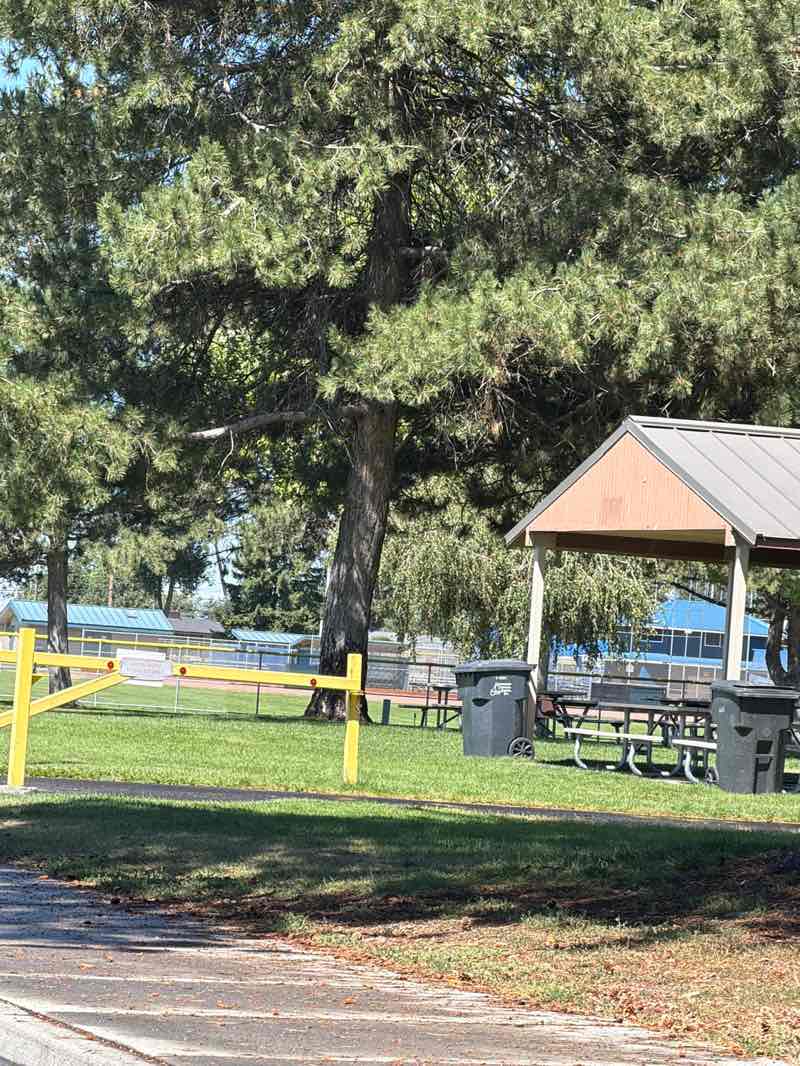 walking near me in Lions Park in summer