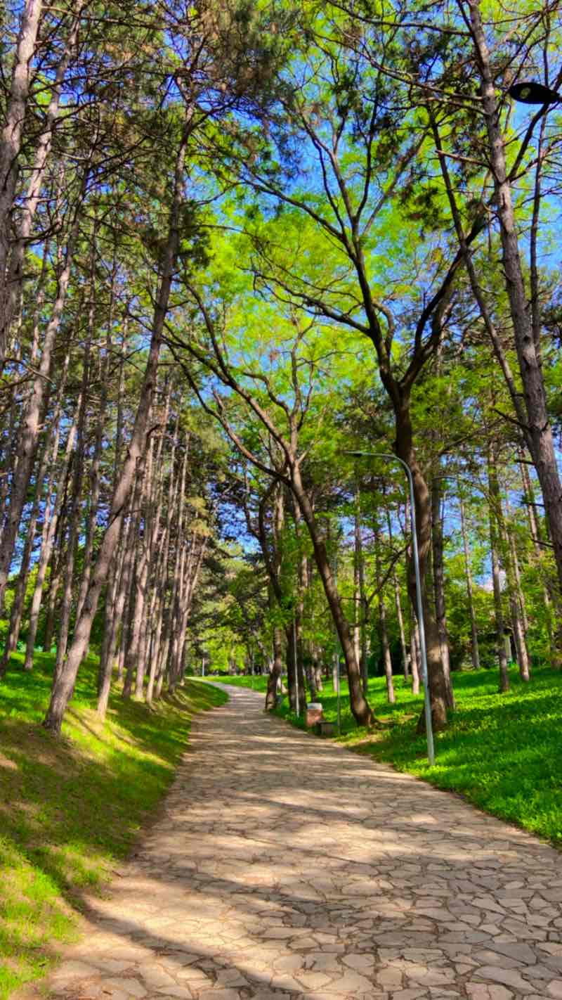 walking near me in Varrezat e Dëshmorëve in winter
