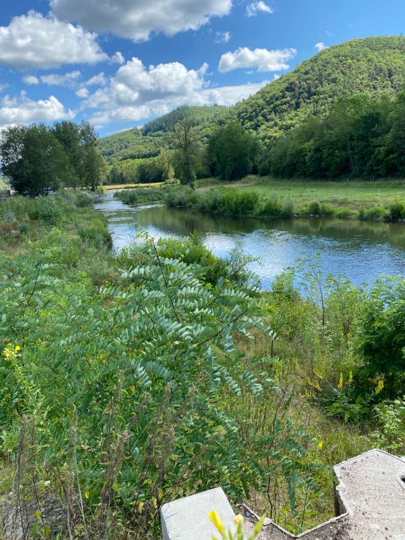walking near me in Colchester-Anlage in winter