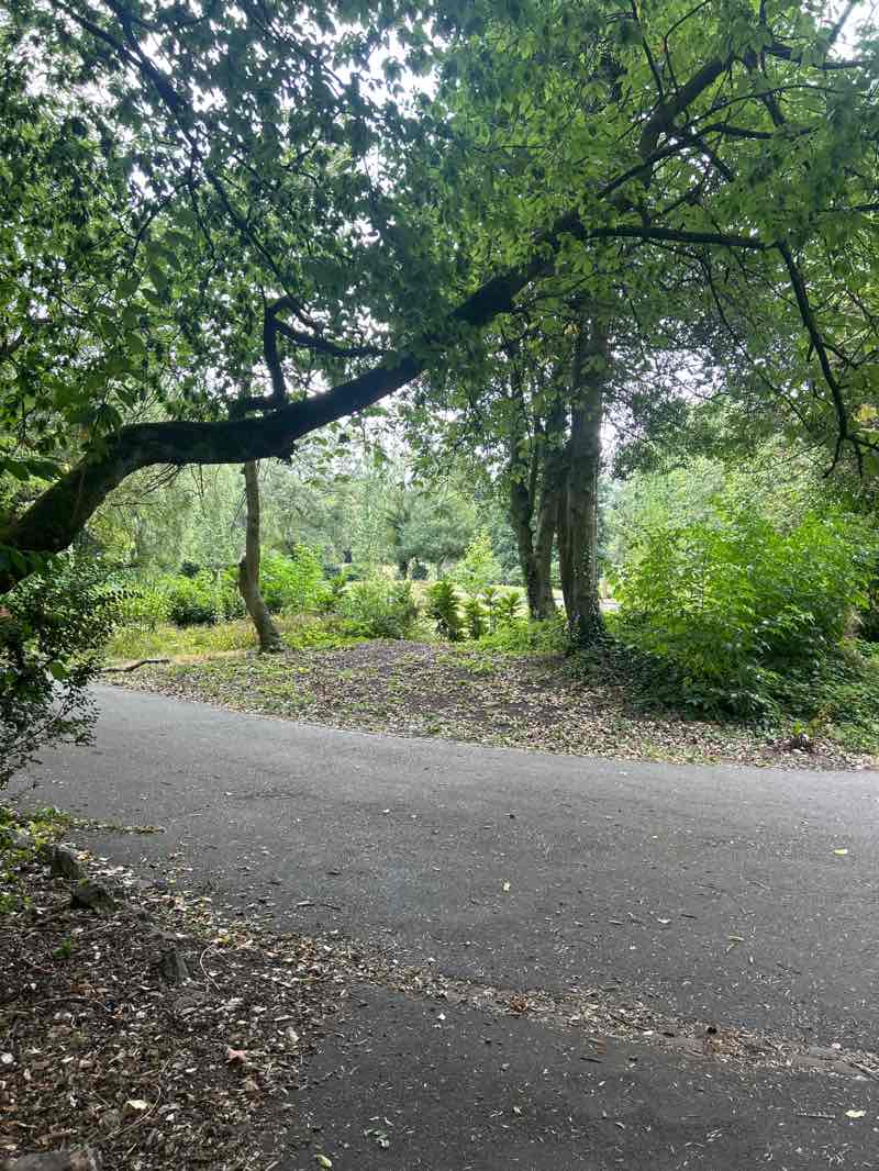 walking near me in Parr Fold Park in summer