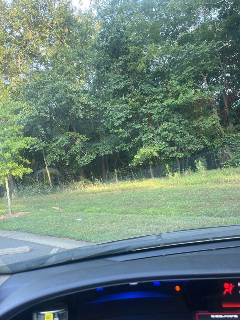 walking near me in Park Road Park in winter