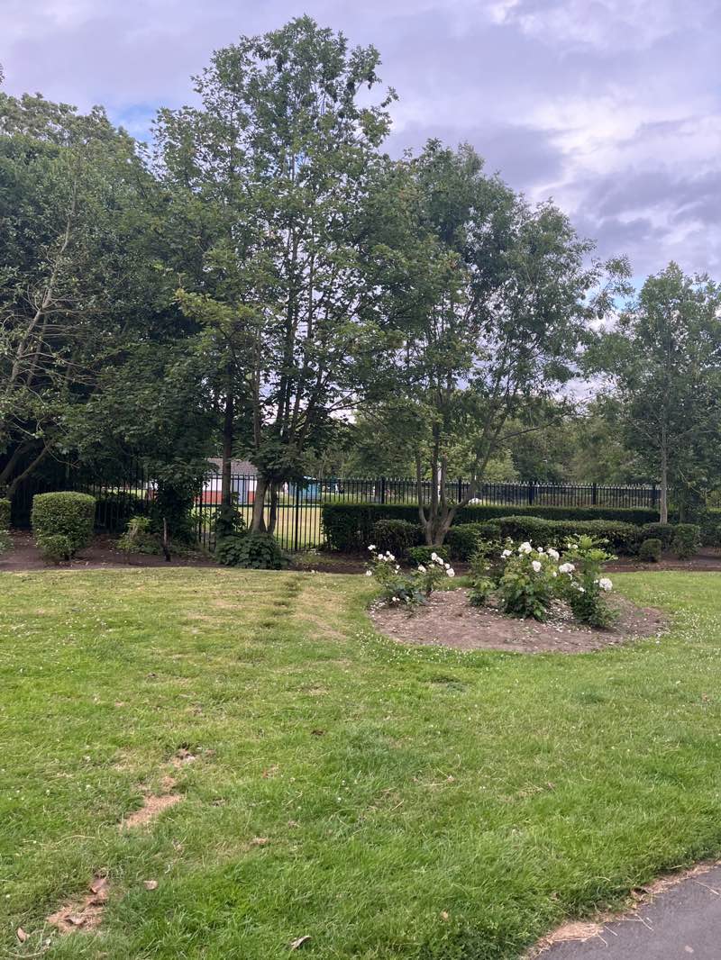 walking near me in West Park in summer