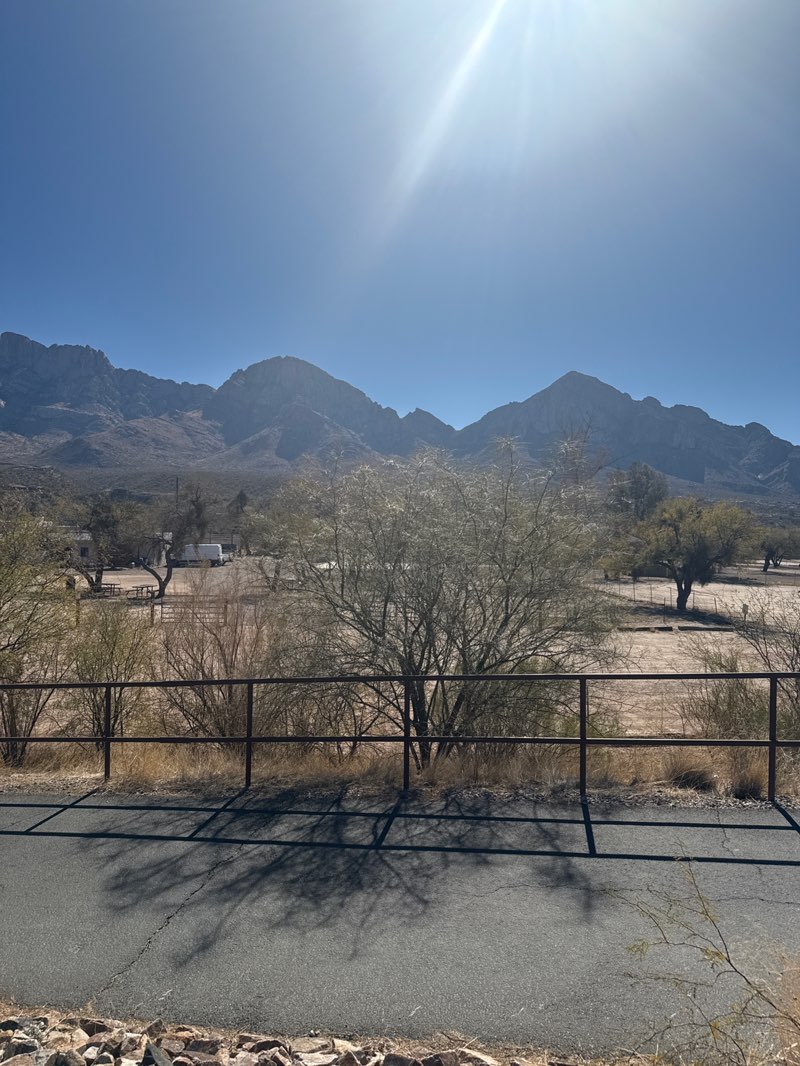 walking near me in Steam Pump Ranch in winter