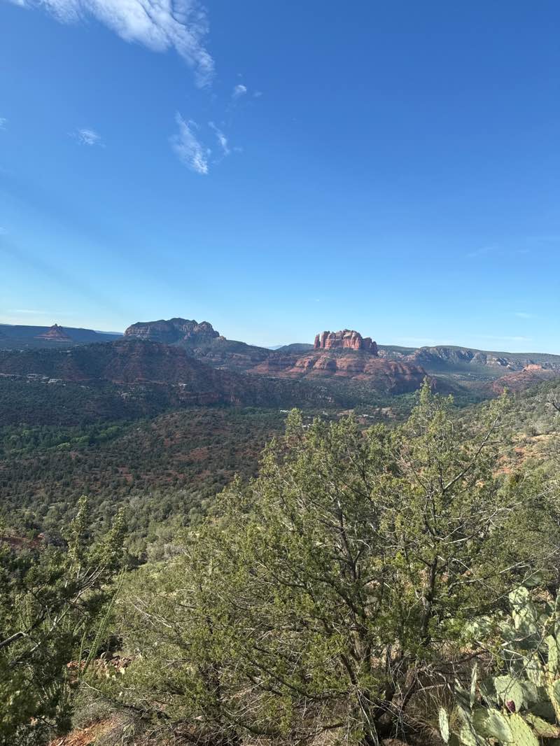 walking near me in Coconino National Forest in summer
