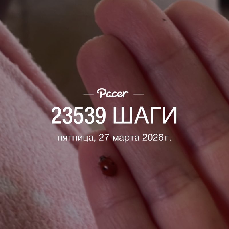 Secret Agents Dina post image