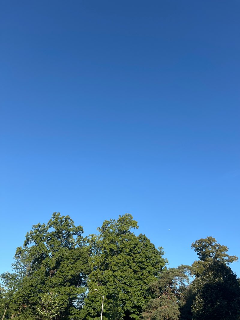 walking near me in Prospect Park in summer