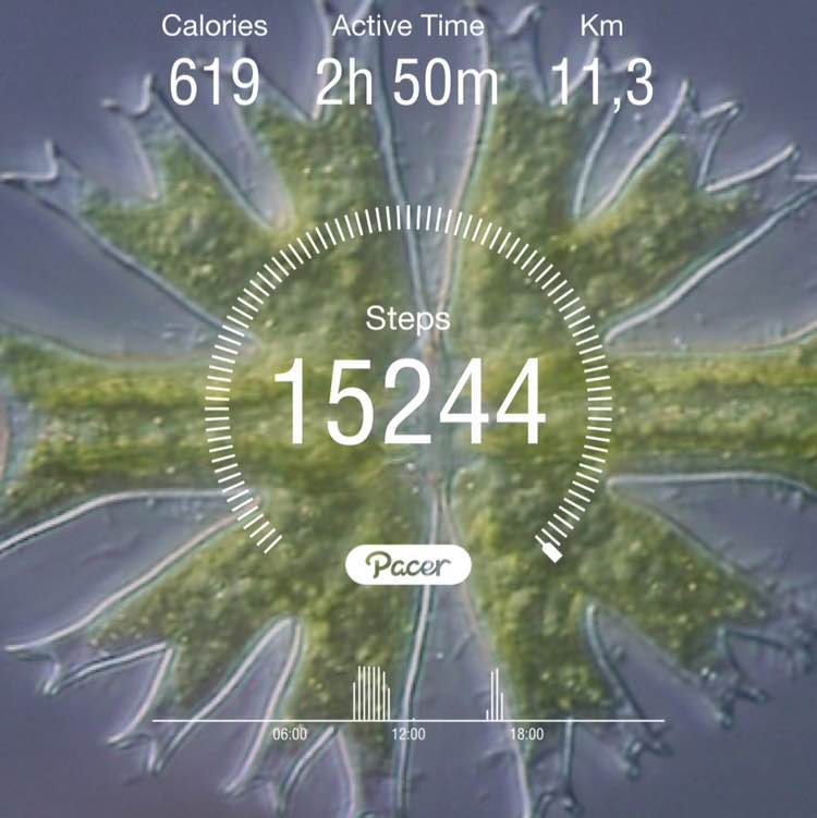 Движение - жизнь! 👣 🔥SOTIRAQ🫶⚜️✨✨✨✨✨✨ post image