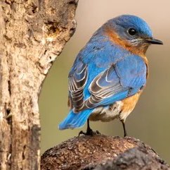 Rainbow πβ₯οΈππΊππΊβ₯οΈππββοΈ SOπ€πΏπββοΈ post image