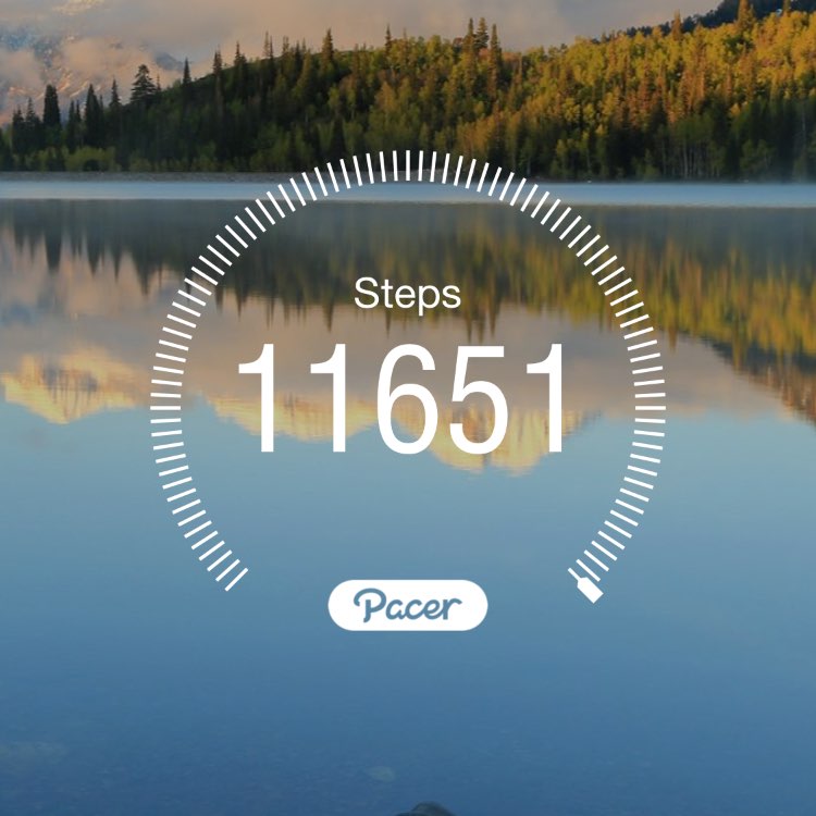 International Steps 2.0 ✝️SO🙋‍♂️🍃🔥✨✨ post image