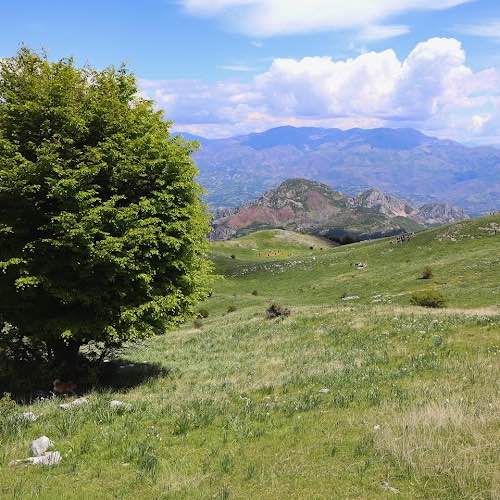 10K Tribe πββοΈπββοΈπ
πSOTIRAQππ«ΆβοΈβ¨β¨β¨ post image