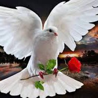 Просторы  Крыма 🍂 🍋🍎SOTIRAQ🫶🤍💜 post image