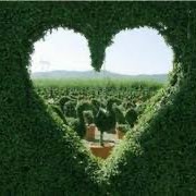 Просторы  Крыма 🍂 🍋🍎SOTIRAQ🫶🤍💜 post image